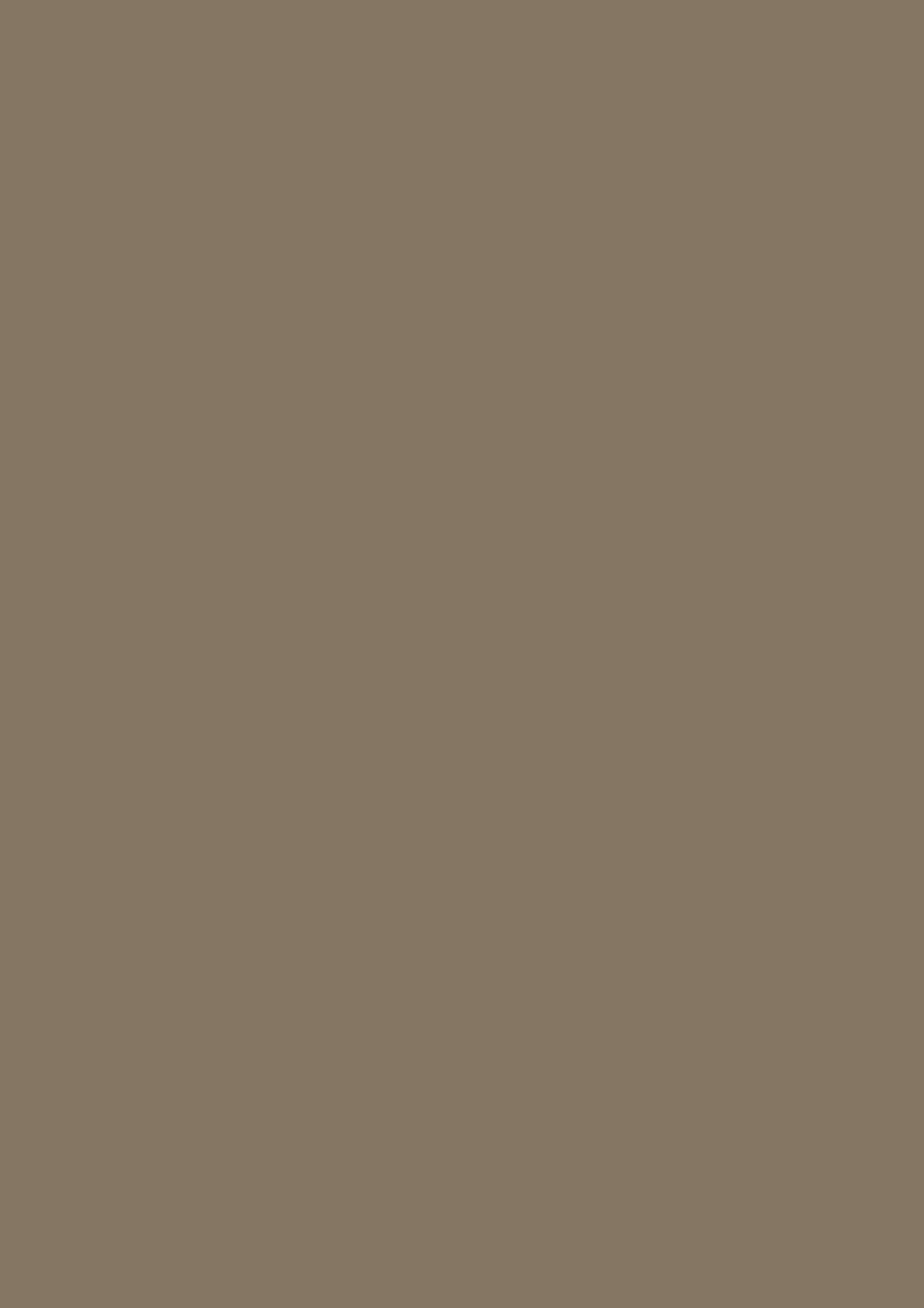 Lack - Farrow and Ball - Broccoli Brown W108 - Archivfarbe