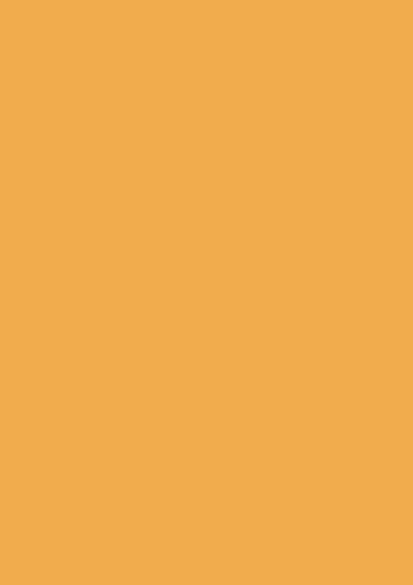 Lack - Farrow and Ball - Dutch Orange W76 - Archivfarbe