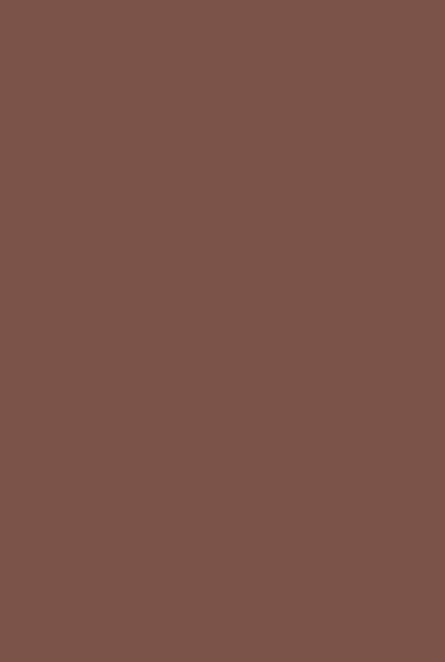 Dead Flat - Farrow and Ball - Etruscan Red 56 - Allround