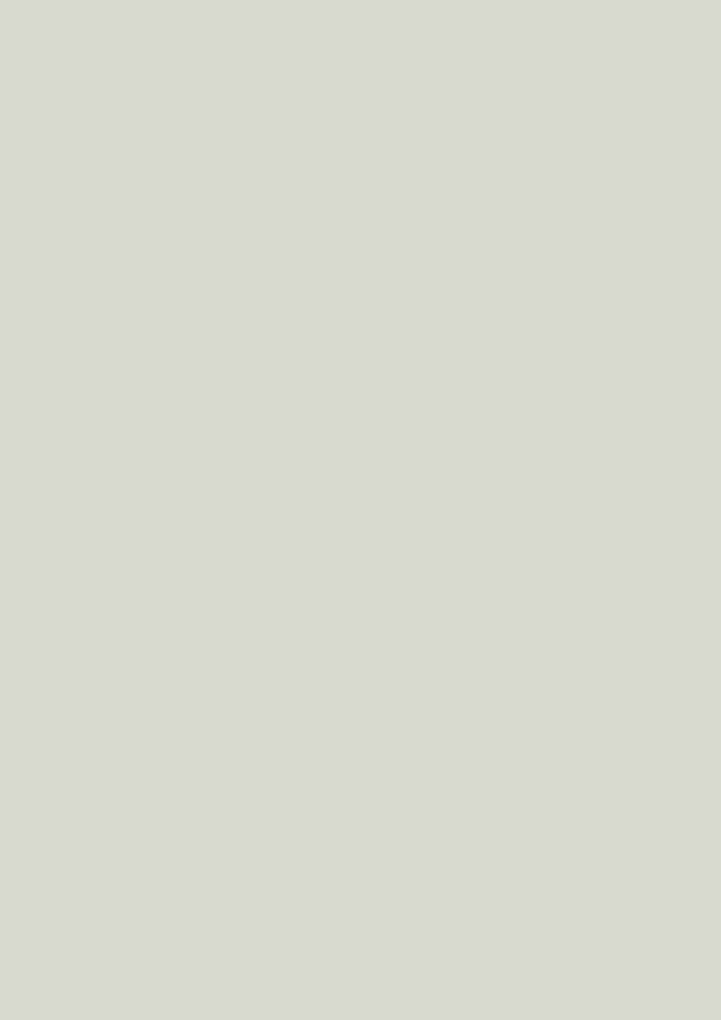 Dead Flat - Farrow and Ball - Pale Powder 204 - Allround