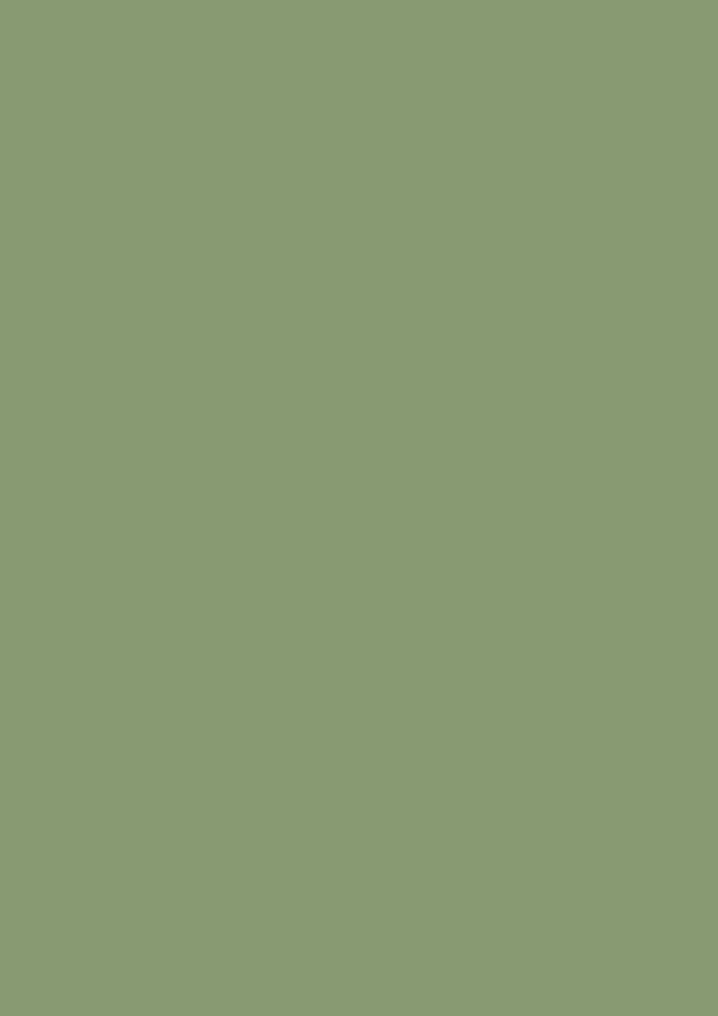 Dead Flat - Farrow and Ball - Yeabridge Green 287 - Allround