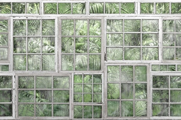 Perspective jardin - Wandbild 14371 , Palmengarten...