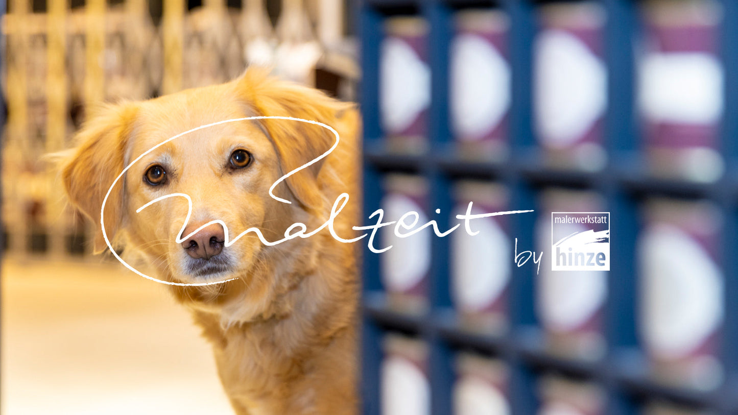 Ein Hund, der hinter einer Wand hervorschaut und dem malzeit Logo