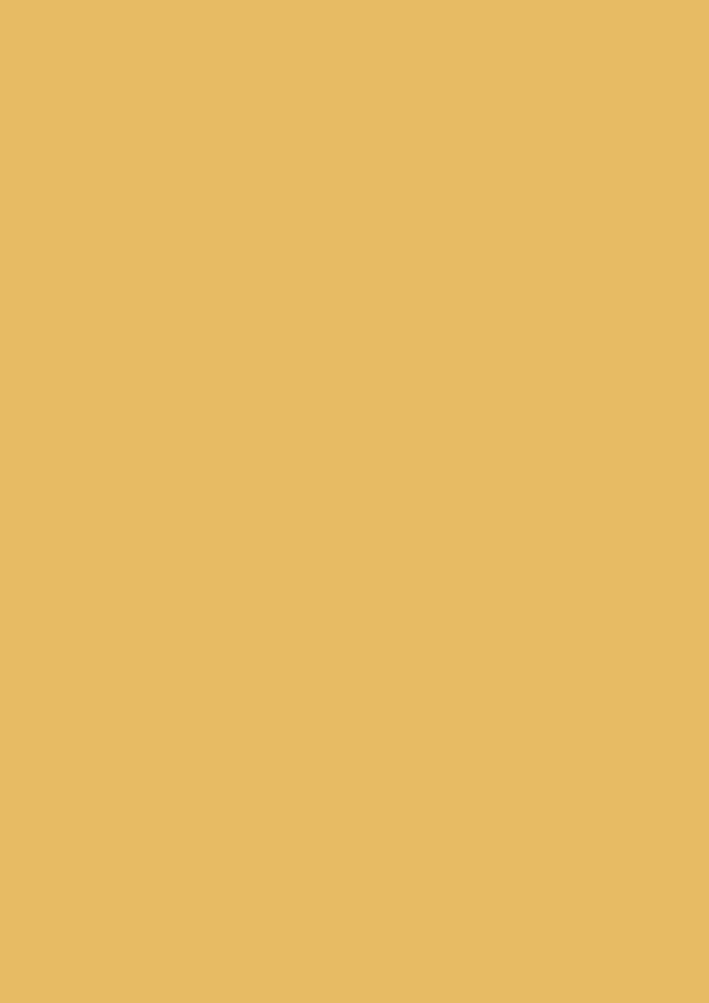 Dead Flat - Farrow and Ball - Babouche 223 - Allround