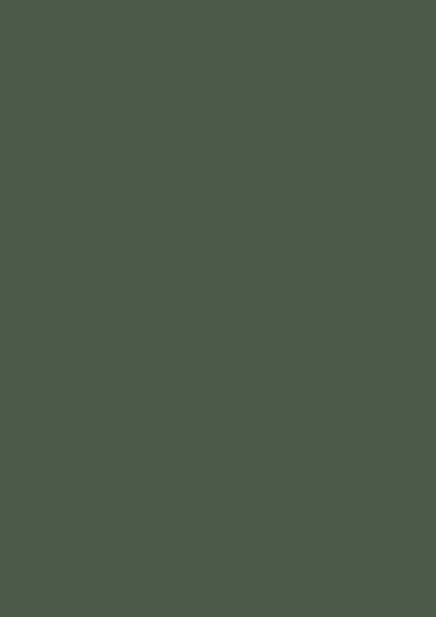 Dead Flat - Farrow and Ball - Beverly 310 - Allround