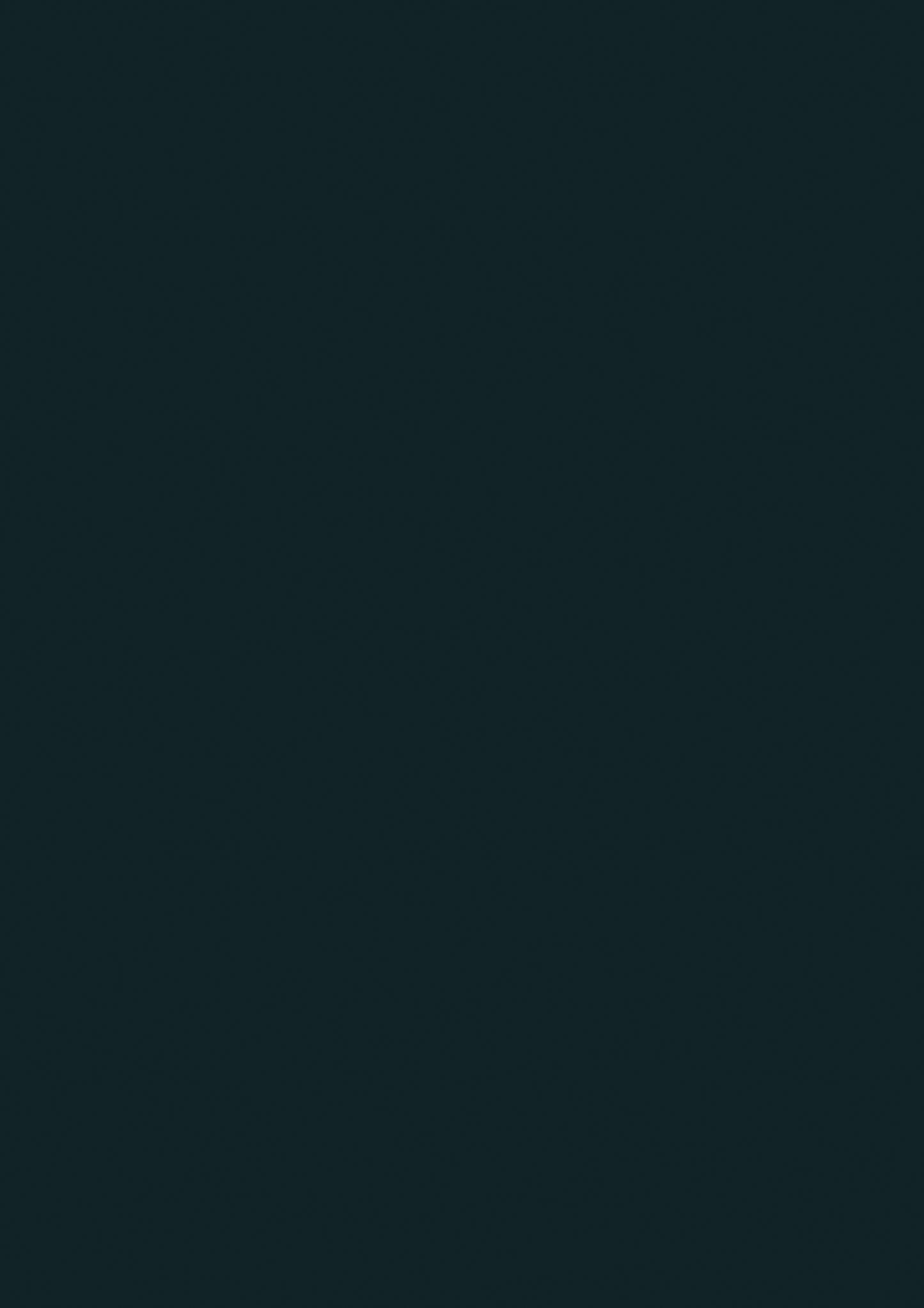 Wandfarbe - Farrow and Ball - Black Blue No. 95 - Archivfarbe
