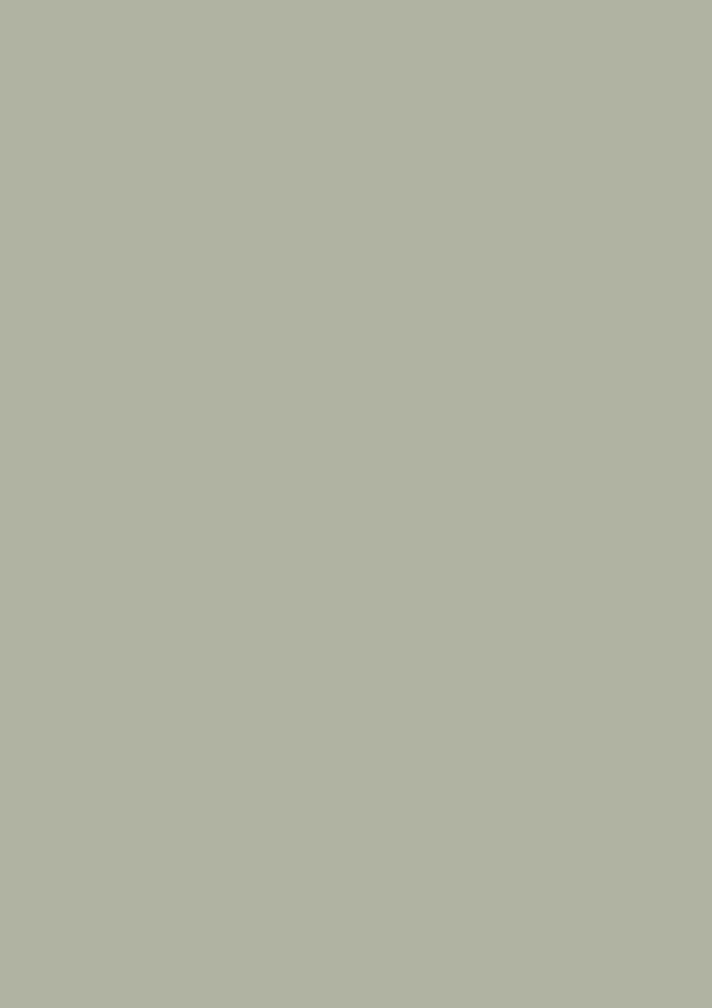 Dead Flat - Farrow and Ball - Blue Gray 91 - Allround