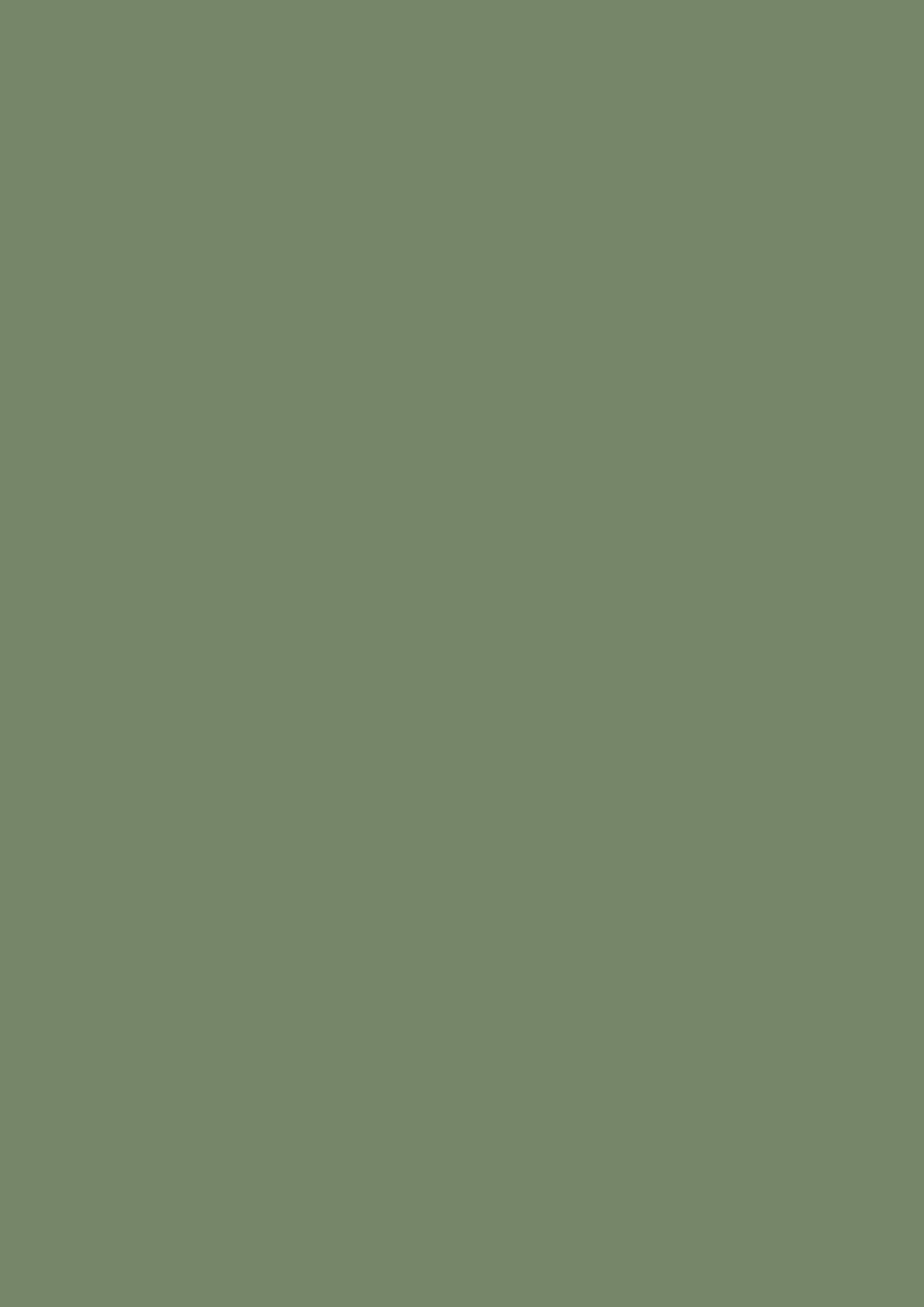 Dead Flat - Farrow and Ball - Calke Green 34 - Allround