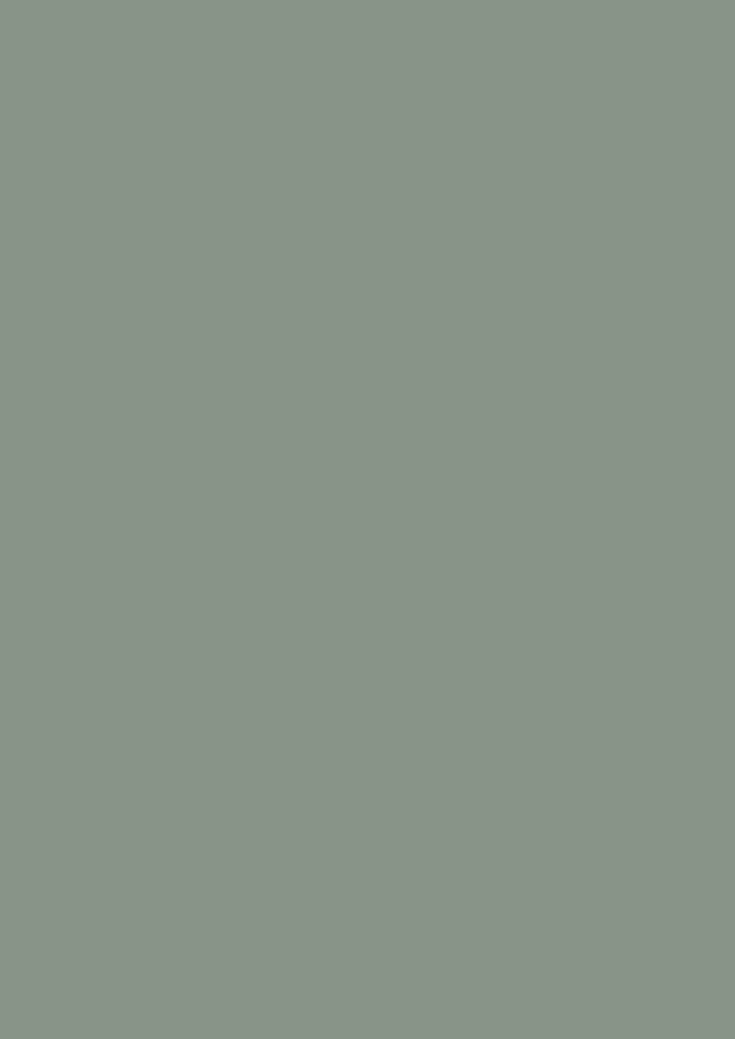 Dead Flat - Farrow and Ball - Card Room Green 79 - Allround