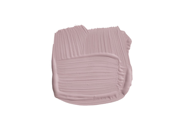 Farbklecks von Cinder Rose, dem Rosa einer Rose
