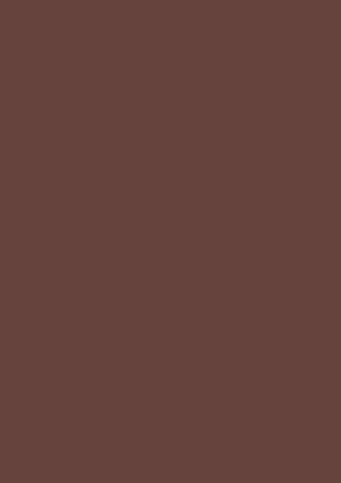Dead Flat - Farrow and Ball - Deep Reddish Brown W101 - Archivfarbe