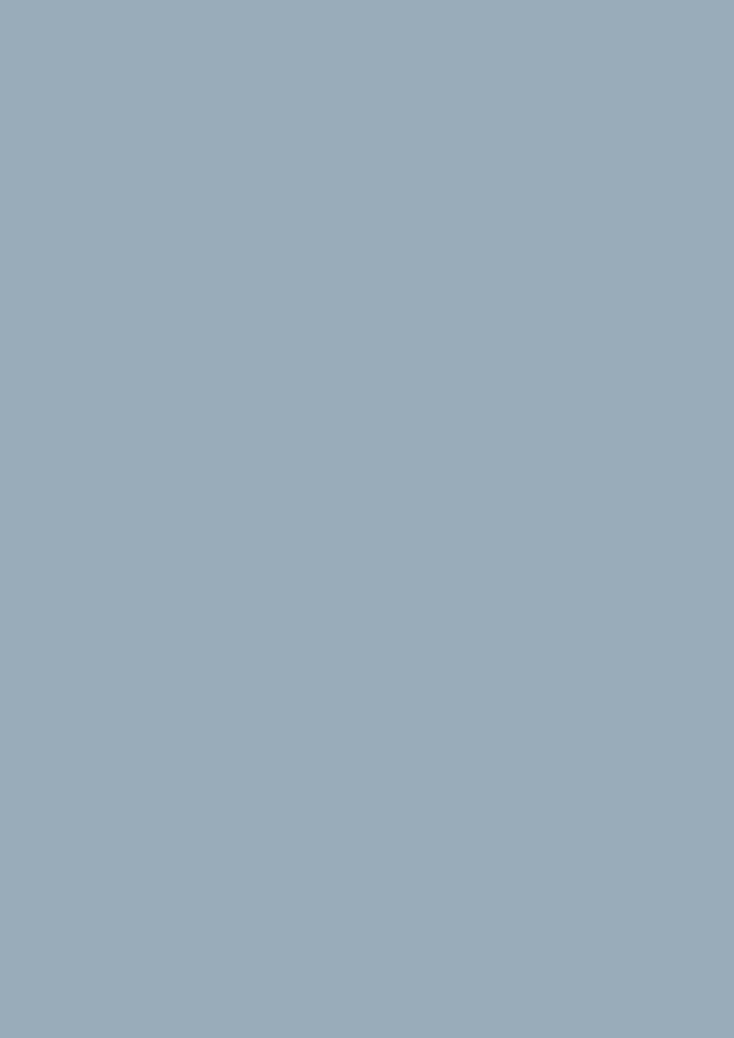 Dead Flat - Farrow and Ball - Kittiwake 307 - Allround