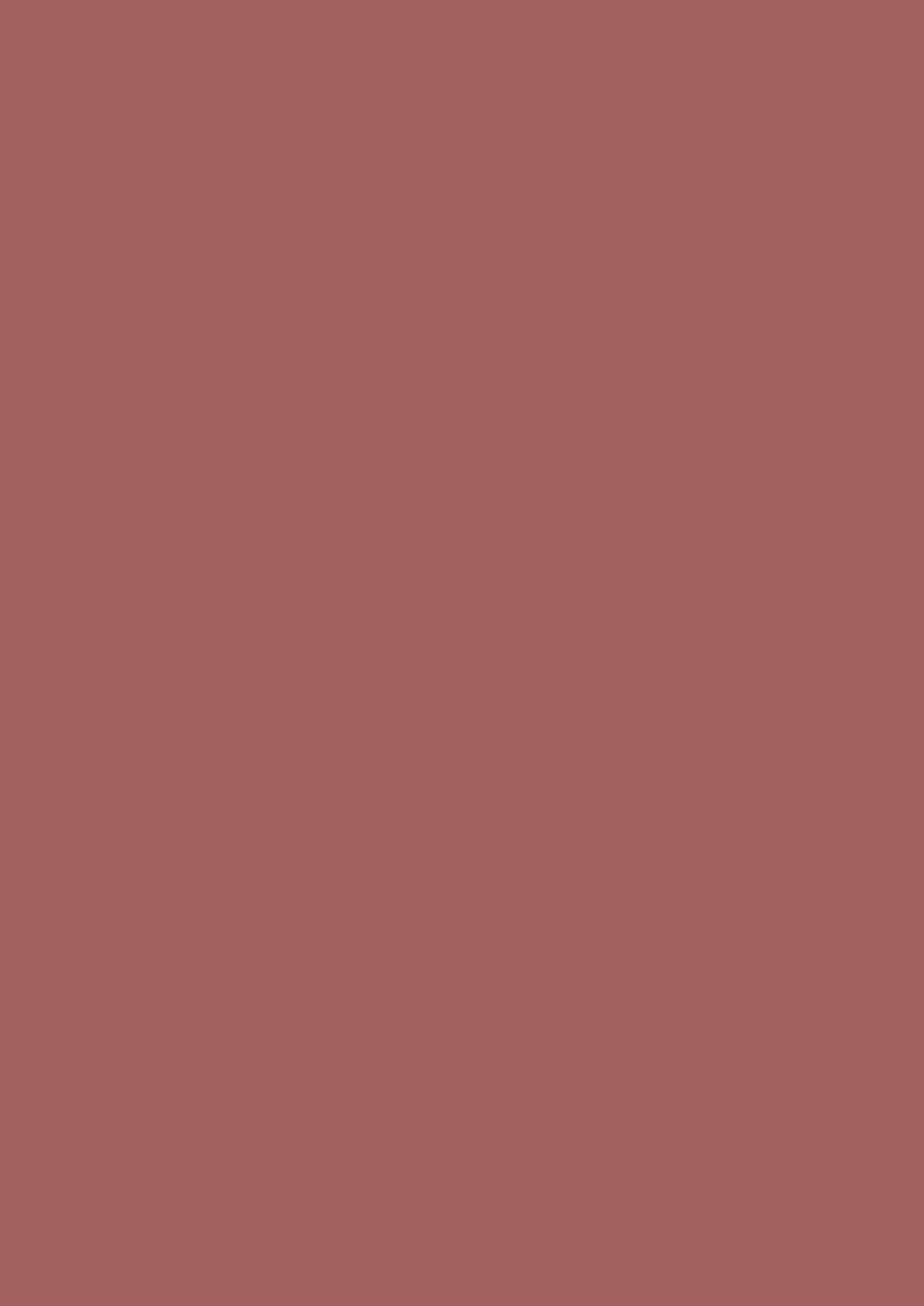 Dead Flat - Farrow and Ball - Picture Gallery Red 42 - Allround