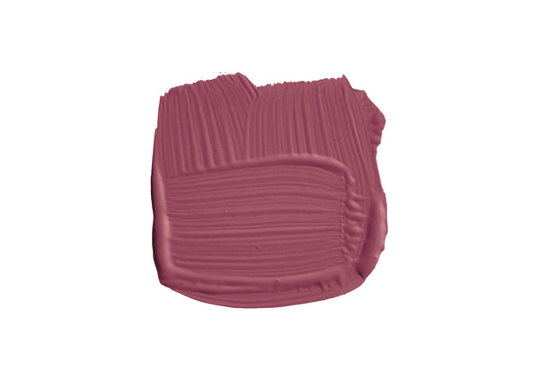 Farbklecks von Radicchio, einem Rot wie eine Radieschen Salat