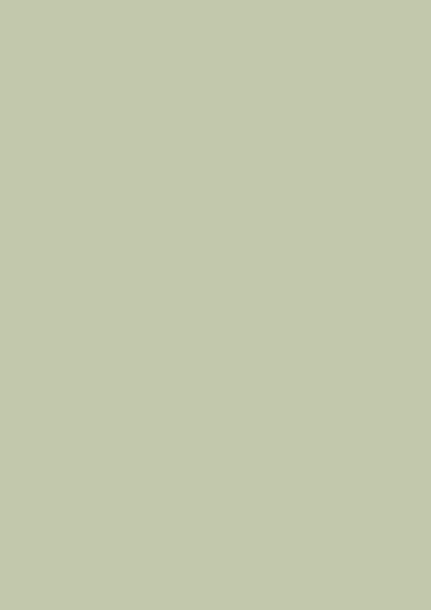 Dead Flat - Farrow and Ball - Vert De Terre 234 - Allround