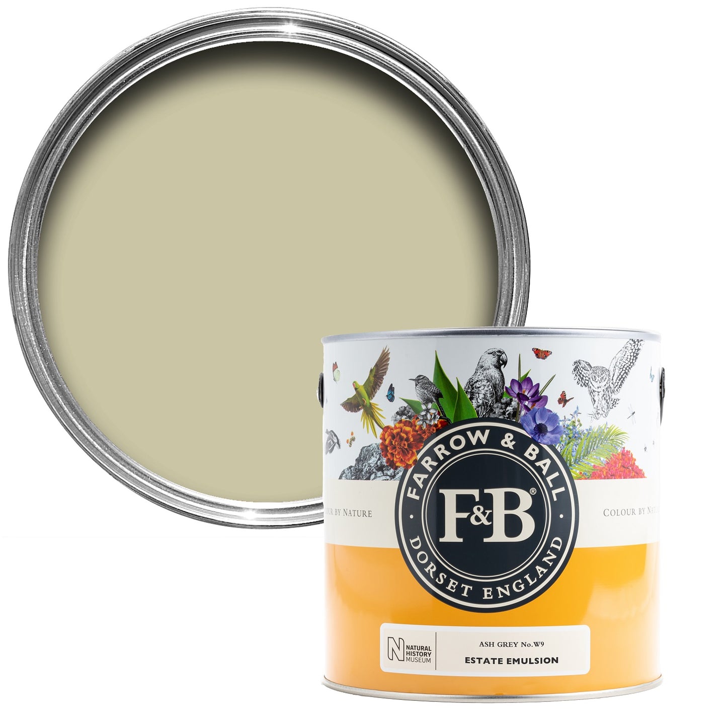 Ash Grey W9 -  Farrow and Ball - Eggshell - Colour by nature - Archivfarbe Lack