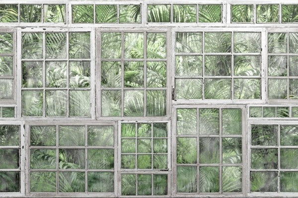 Muster Perspective jardin - Wandbild 14371 , Palmengarten...