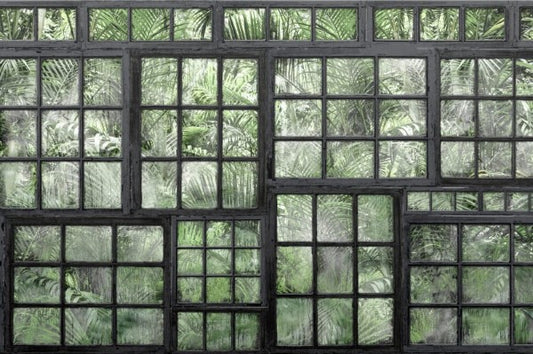 Perspective jardin noir - Wandbild 14370 ,Palmengarten