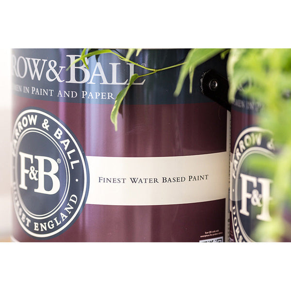 Zwei Farrow and Ball Farbdosen mit einer Pflanze in Szene gesetzt 