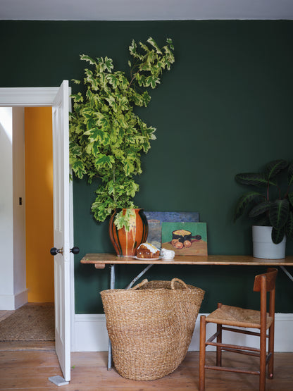 Duck Green W55 - Farrow and Ball - Emulsion - Colour by nature - Archivfarbe Wandfarbe