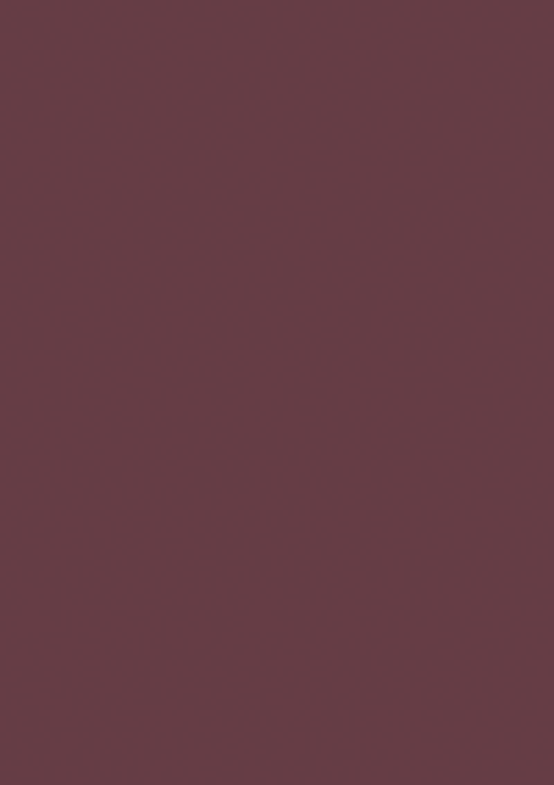 Lacke - Farrow and Ball - Preference Red 297 - Eggshell