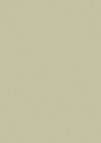 Lacke - Farrow and Ball - Cooking Apple Green 32- Eggshell