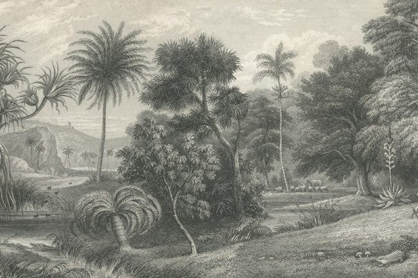 Muster Jungle Land Vintage - Wandbild 14611, wie aus einem alten Bilderbuch...