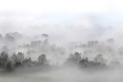 Morning fog- Wandbild 15301 , eine spezielle Atmosphäre...
