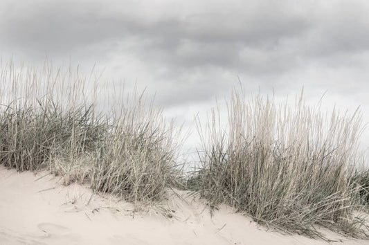 Pale shore- Wandbild 16341  , Auszeit!
